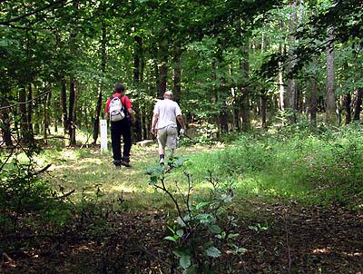 Őrség-Goričko túrák - A gyalogosok továbbindultak