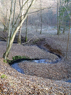 Óév búcsúztató 2006 - Meanderező patak