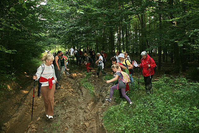 Őrség - Goričko túra 2010 - Sáros úton