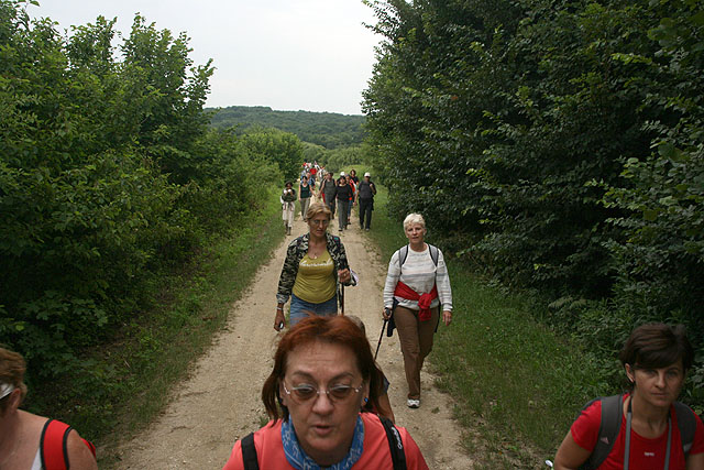 Őrség - Goričko túra 2010 - Bajánsenye felé