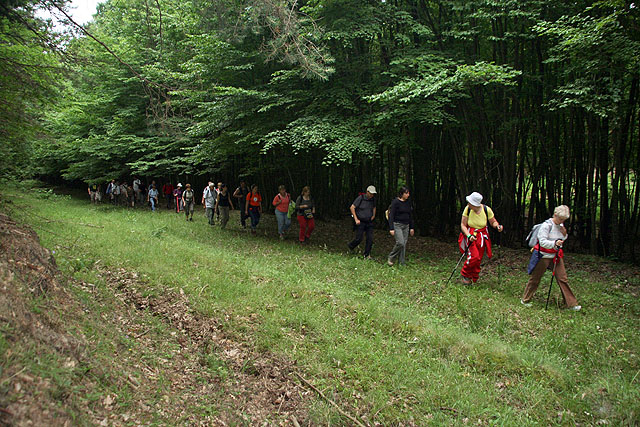 Őrség - Goričko túra 2010 - Kényelmes nyiladékban