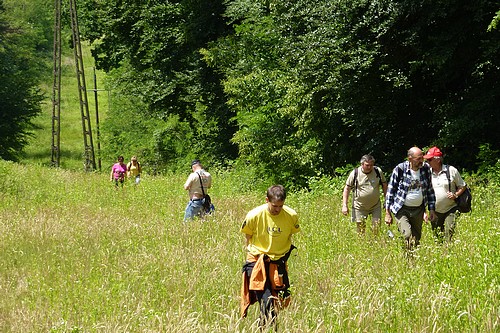 Gyalogtúrázók XIX. Országos Találkozója - A Kovácsi-hegy oldalában