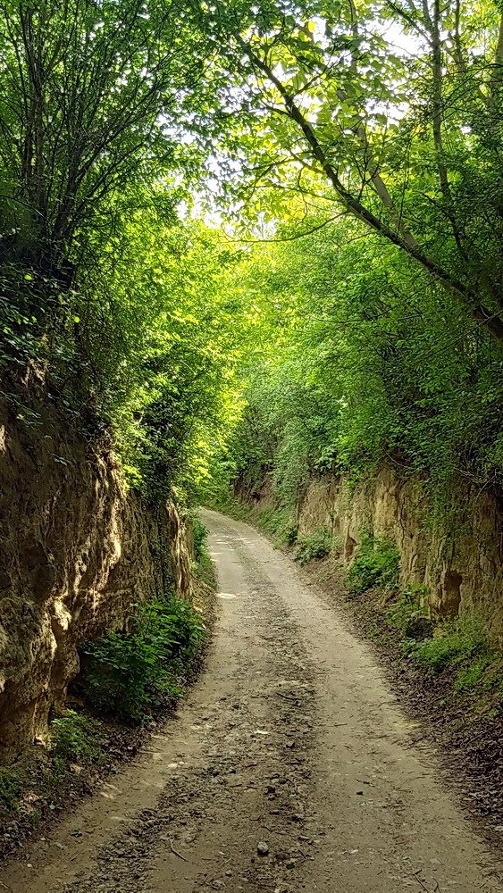 Somogyi barangolás