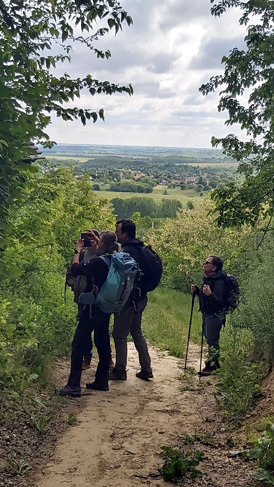 Somogyi barangolás