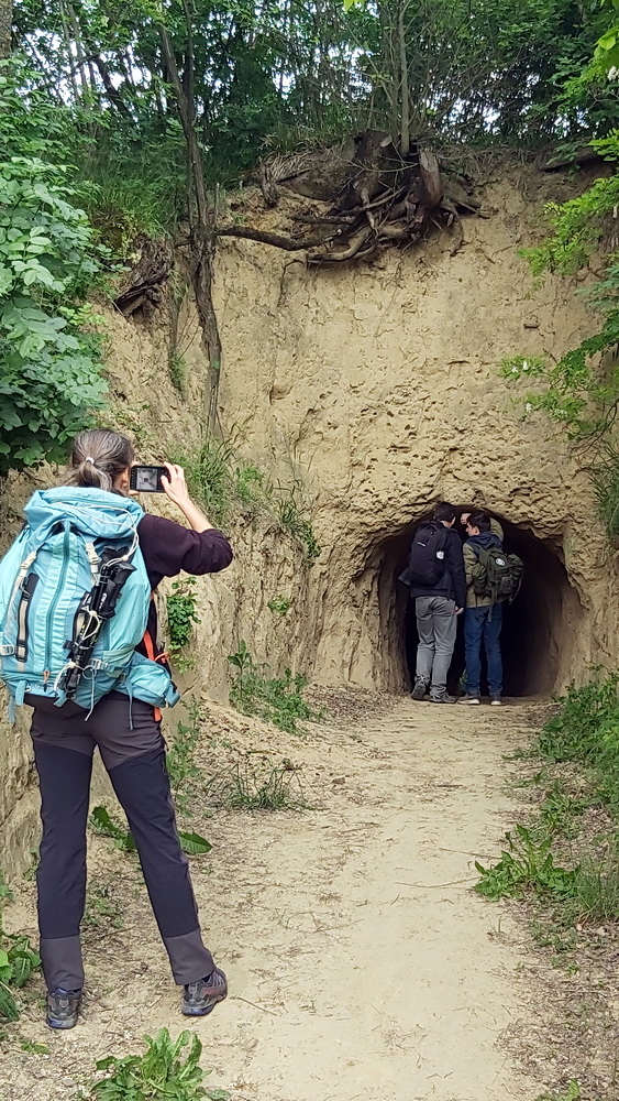 Somogyi barangolás