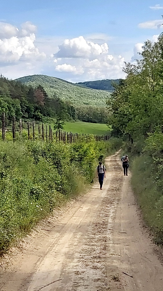 Somogyi barangolás