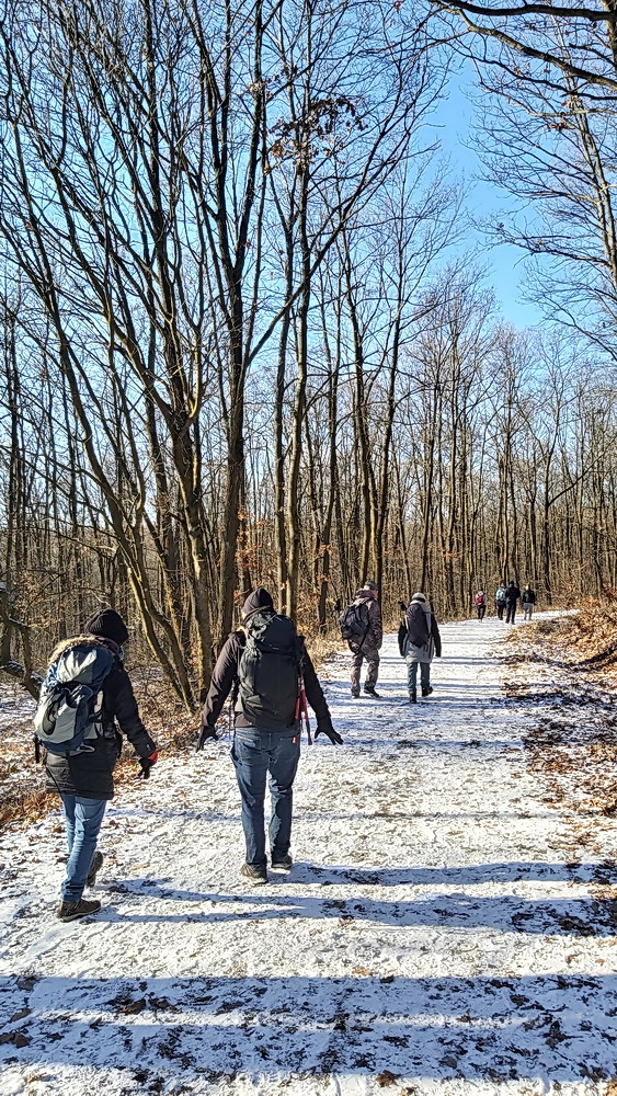 Óévbúcsúztató nyílt túra a Visegrádi-hegységben