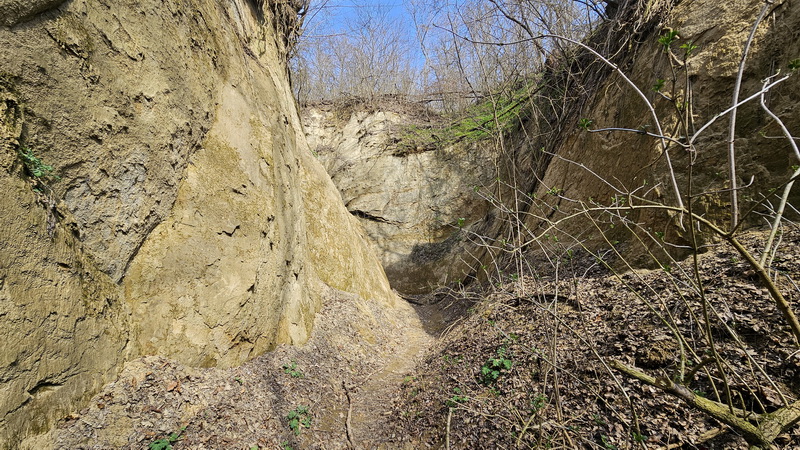 A Morgó-gödörben