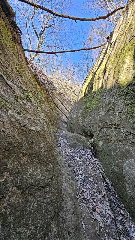 A Morgó-gödörben
