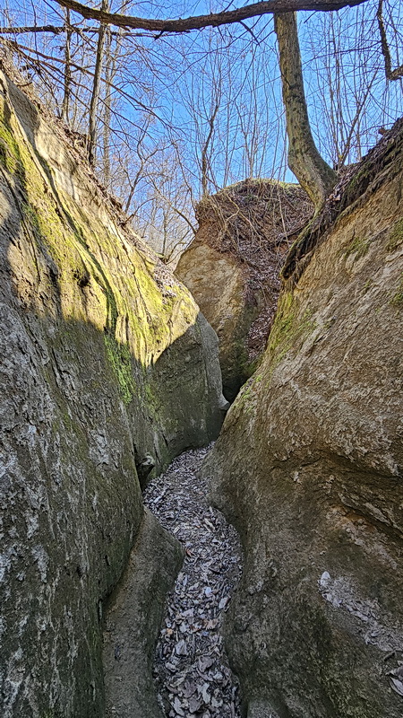 A Morgó-gödörben